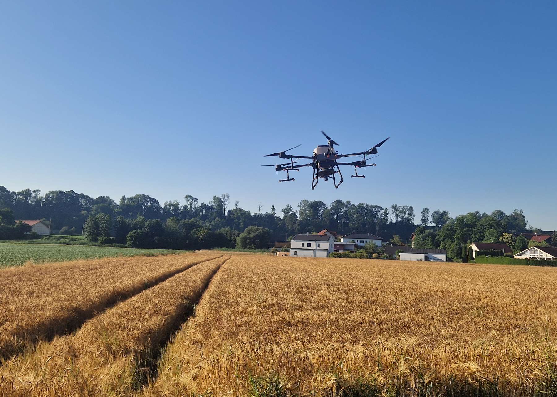 Drohnensaat beim Betrieb Wührer.jpg