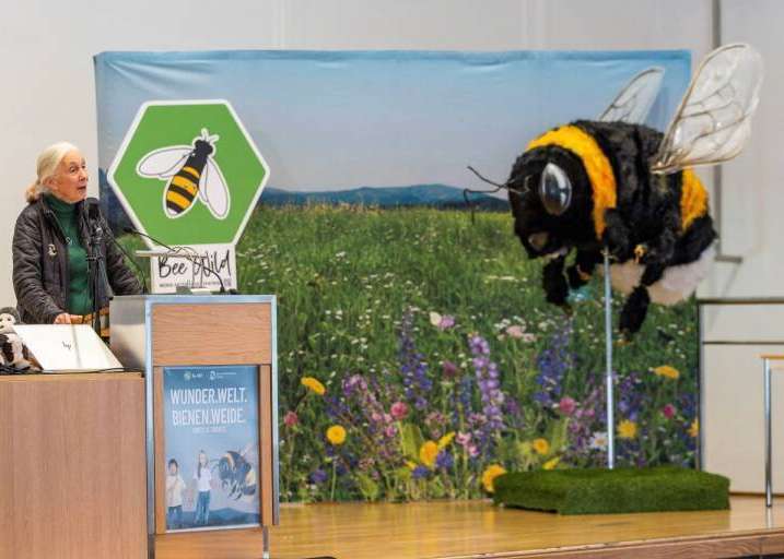 Schimpansenforscherin Jane Goodall bei der Projektvorstellung.jpg