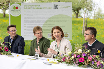 Von der Blüte ins Glas: Gemeinsam Streuobst erleben!