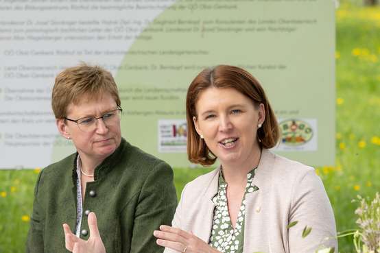 Von der Blüte ins Glas: Gemeinsam Streuobst erleben! © Margot Haag/Land OÖ