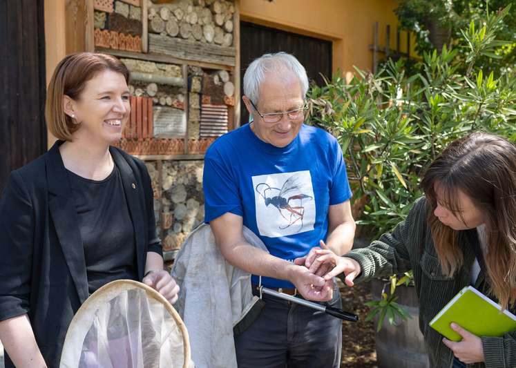 Agrar-Landesrätin Michaela Langer-Weninger und Dr. Martin Schwarz beim Keschern einer Grabwespe.