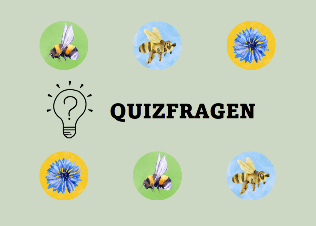 Quizfragen rund um Honigbienen, Wildbienen und Biodiversität.png