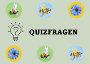Quizfragen rund um Honigbienen, Wildbienen und Biodiversität.png
