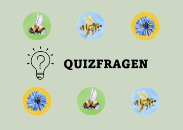 Quizfragen rund um Honigbienen, Wildbienen und Biodiversität.png