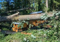 Die Imker-Gruppenversicherung bietet nicht nur Schutz bei Sturmschäden, Feuer und Hochwasser. Auch der Diebstahl von Bienenvölkern, ein allgemeiner Rechtsschutz sowie eine Betriebshaftpflichtversicherung sind inkludiert.