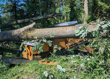 Die Imker-Gruppenversicherung bietet nicht nur Schutz bei Sturmschäden, Feuer und Hochwasser. Auch der Diebstahl von Bienenvölkern, ein allgemeiner Rechtsschutz sowie eine Betriebshaftpflichtversicherung sind inkludiert.