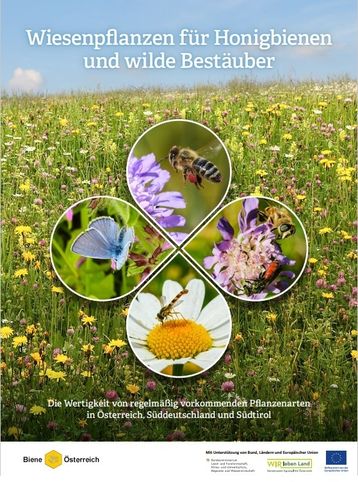 Titelblatt Wiesenbroschüre .jpg