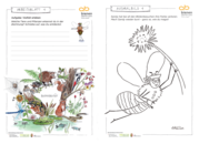 Biodiversität - Arbeitsblatt & Ausmalbild.png