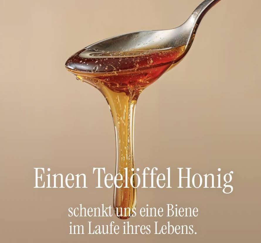 Einen Teelöffel Honig schenkt uns eine Biene im Laufe ihres Lebens.jpg