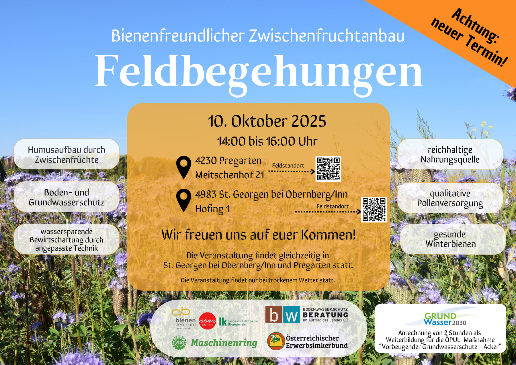 Einladung zur Feldbegehung "Bienenfreundlicher Zwischenfruchtversuch" am 10.10.2025.png