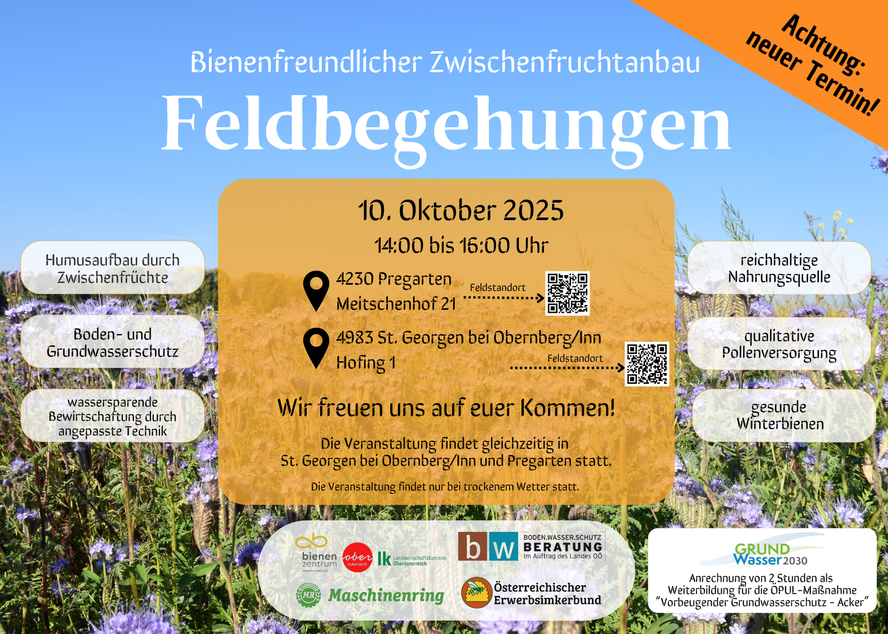 Einladung zur Feldbegehung "Bienenfreundlicher Zwischenfruchtversuch" am 10.10.2025.png