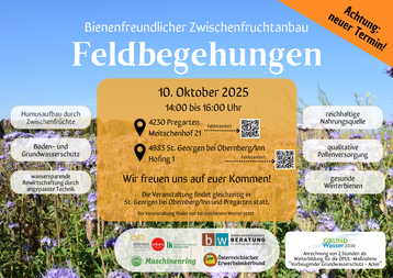 Einladung zur Feldbegehung "Bienenfreundlicher Zwischenfruchtversuch" am 10.10.2025.png