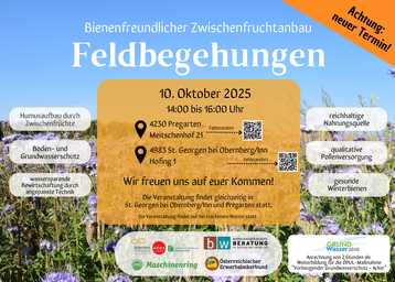 Einladung zur Feldbegehung "Bienenfreundlicher Zwischenfruchtversuch" am 10.10.2025.png