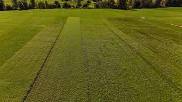 Überblick über die Versuchsfläche in Pregarten mit 5 unterschiedlichen Anbaumethoden.jpg