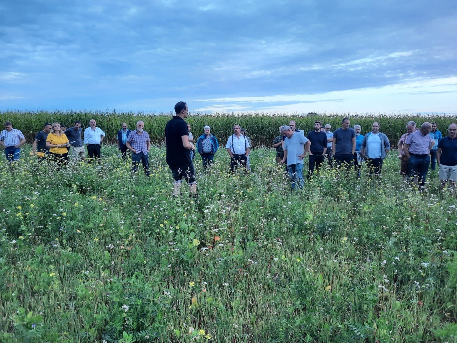 Bei der ersten Feldbegehung Anfang September in St. Georgen bei Obernberg am Inn nahmen ca. 40 Personen teil..jpg
