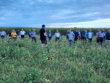 Bei der ersten Feldbegehung Anfang September in St. Georgen bei Obernberg am Inn nahmen ca. 40 Personen teil..jpg