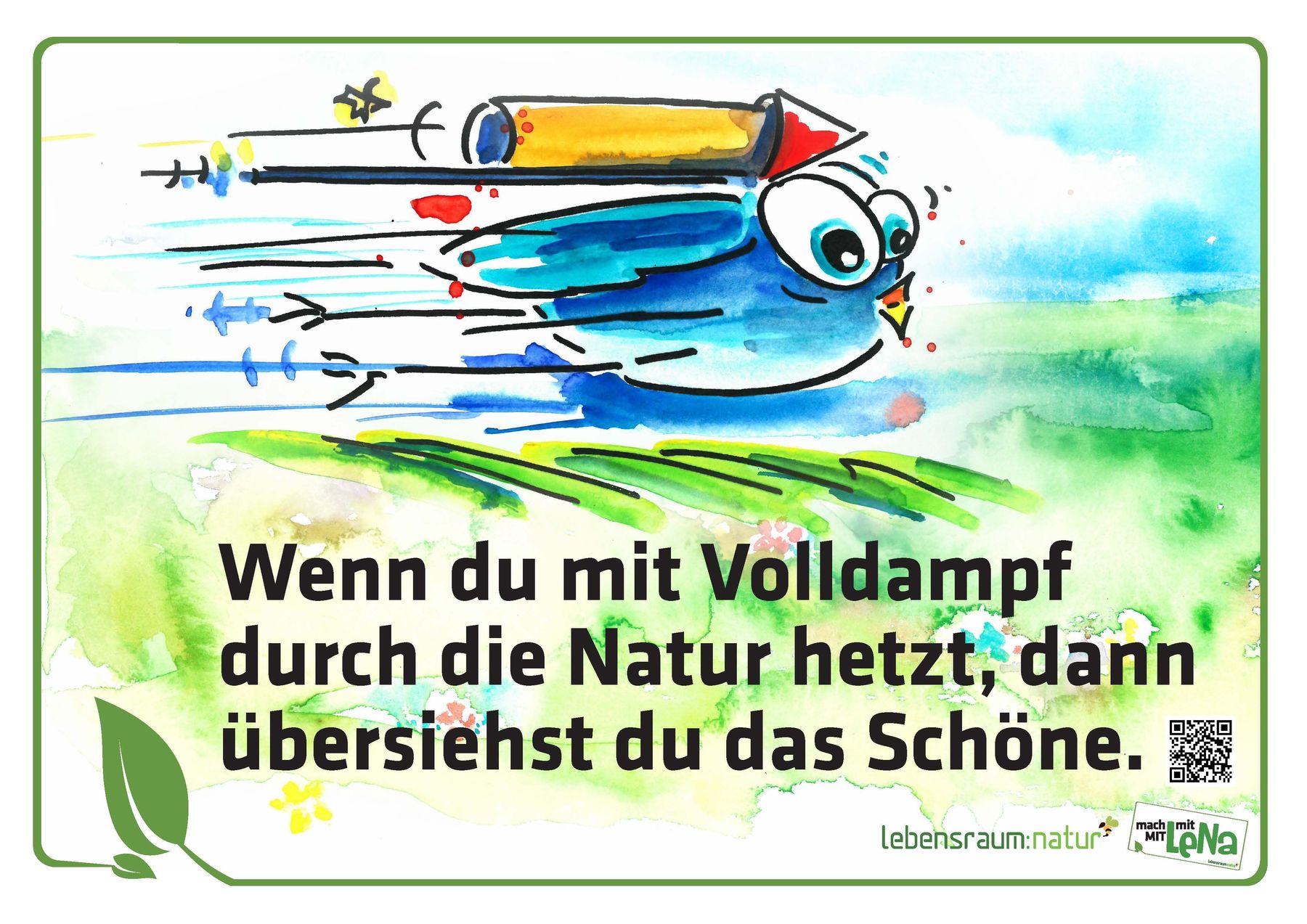 "Volldampf durch die Natur".jpg