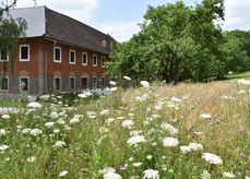 Herzliche Einladung zur Veranstaltung zum Weltbienentag.  © Bienenzentrum OÖ