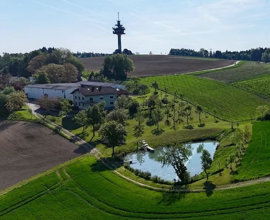 Lebensraumvernetzung am Fürhapperhof in Ansfelden.jpg