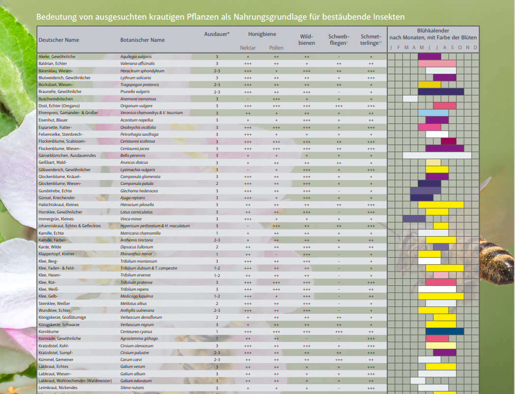 Blühkalender "Bestäuber.Nahrung" .png