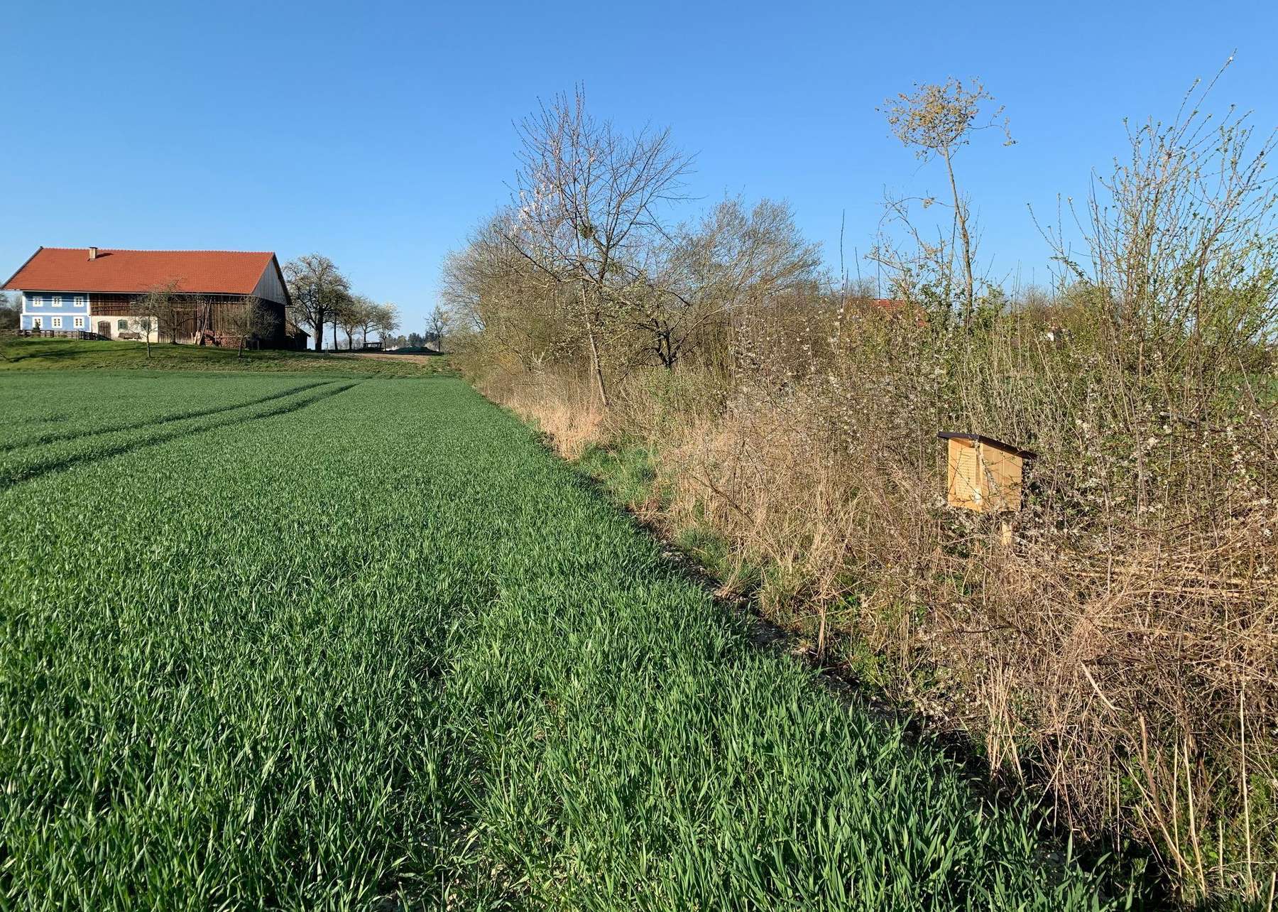 Eine strukturreiche Landschaft schafft Lebensraum und Nahrungsgrundlage für Insekten und Pflanzen..jpg