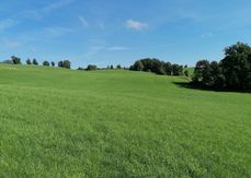 Vielfalt in der Grünlandnutzung erhalten - wie geht das?.jpg