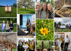 Fotocollage Artikel Arbeitsbericht 2025.png