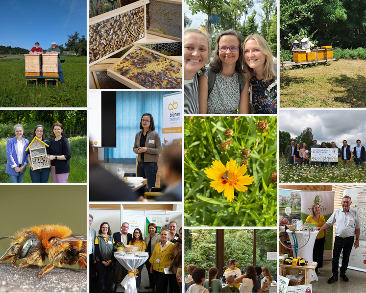 Fotocollage für Arbeitsberichte © Canva/Schobersberger