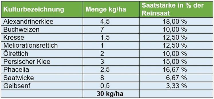 Komponenten der Zwischenfruchtmischung 2025.jpg