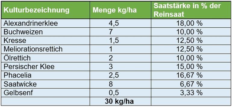 Komponenten der Zwischenfruchtmischung 2025.jpg