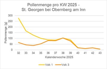 Entwicklung Pollenmenge von Volk 1 und Volk 3, Standort St. Georgen bei Obernberg am Inn pro KW 2025..jpg