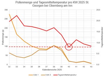 Pollenmenge und Tagesmitteltemperatur (00:00 – 24:00 Uhr) pro KW 2025 in St. Georgen bei Obernberg am Inn..jpg