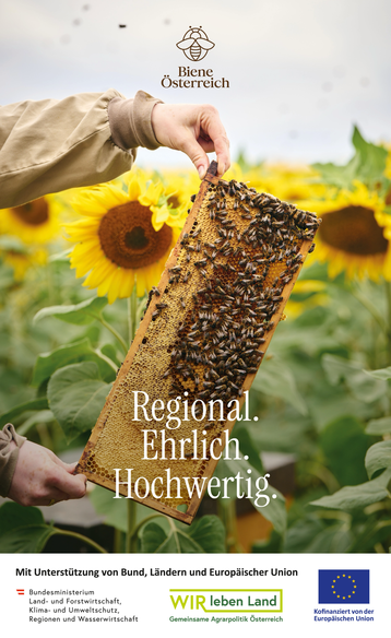 Kampagne für echten Honig - der Wert von regionalem Honig..png