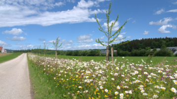 Einblick in das Exkursionsziel am Nachmittag..png