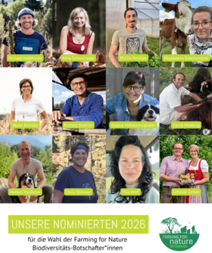 Die 35 Nominierten 2026 im Überblick..png