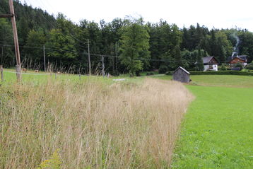 Abgestufte Grünlandbewirtschaftung - unterschiedliche Nutzungszeitpunkte und Intensitäten.