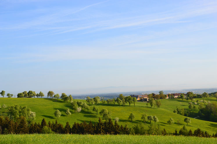 Streuobst steht für Artenvielfalt im Bereich der Pflanzen- und Tierwelt..jpg Streuobst steht für Artenvielfalt im Bereich der Pflanzen- und Tierwelt..jpg