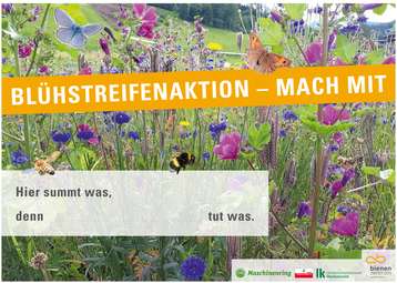Blühstreifenaktion - mach mit.jpg Blühstreifenaktion - mach mit.jpg