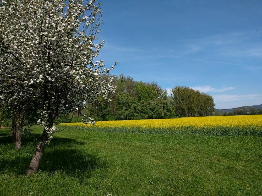 Imker und Landwirte an einem Tisch.jpg Imker und Landwirte an einem Tisch.jpg
