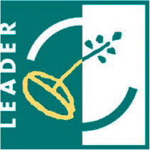 Logo Leader.png