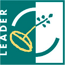 Logo Leader.png Logo Leader.png