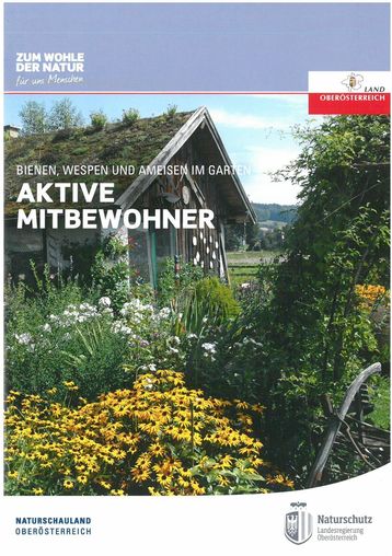 Aktive Mitbewohner.jpg Aktive Mitbewohner.jpg