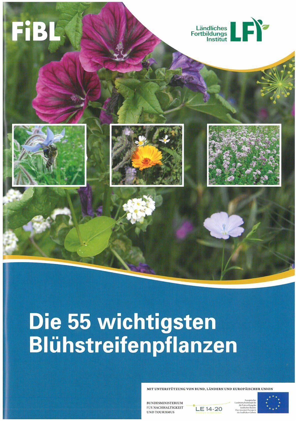 Die 55 wichtigsten Blühstreifenpflanzen.jpg Die 55 wichtigsten Blühstreifenpflanzen.jpg