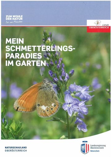 Mein Schmetterlingsparadies im Garten.jpg Mein Schmetterlingsparadies im Garten.jpg
