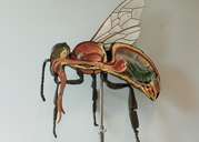 Bienenmodell.jpg