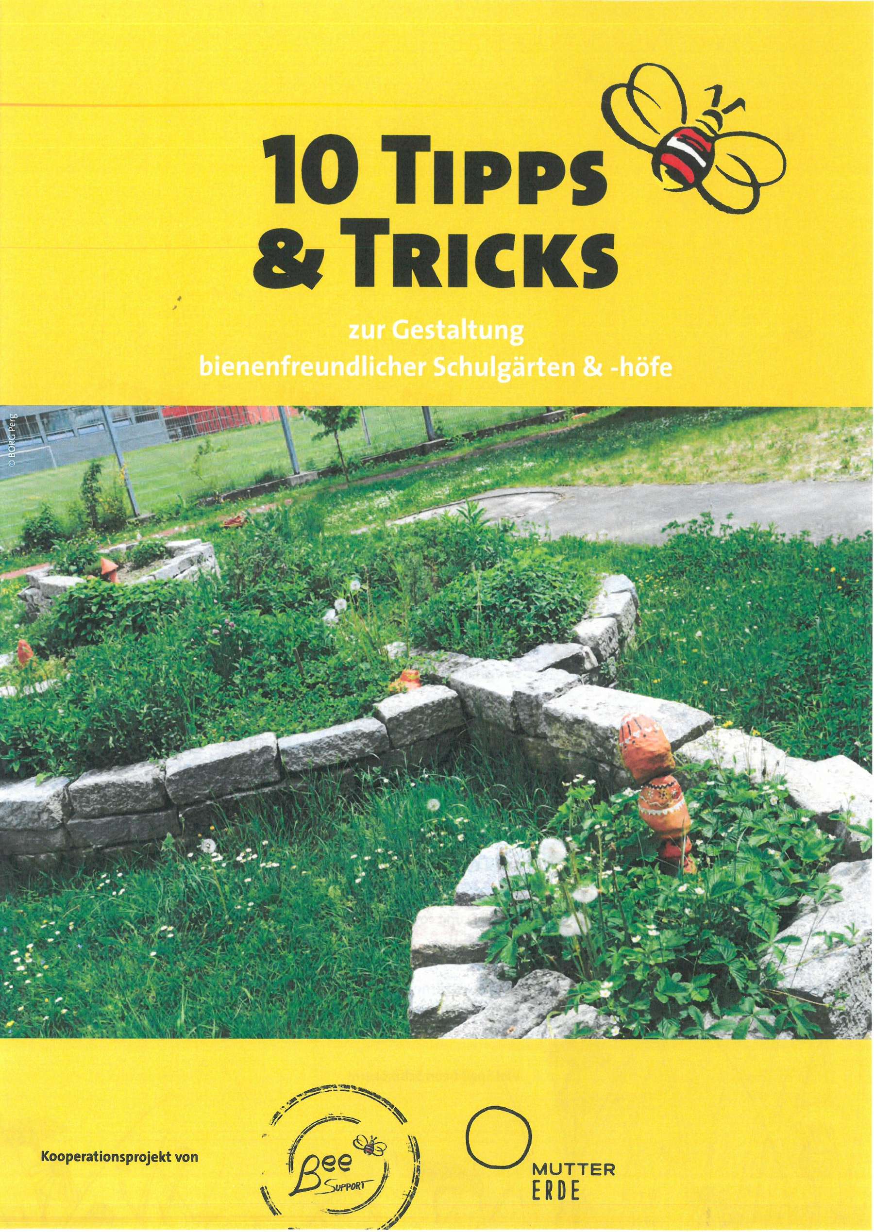 10 tipps & tricks.jpg 10 tipps & tricks.jpg