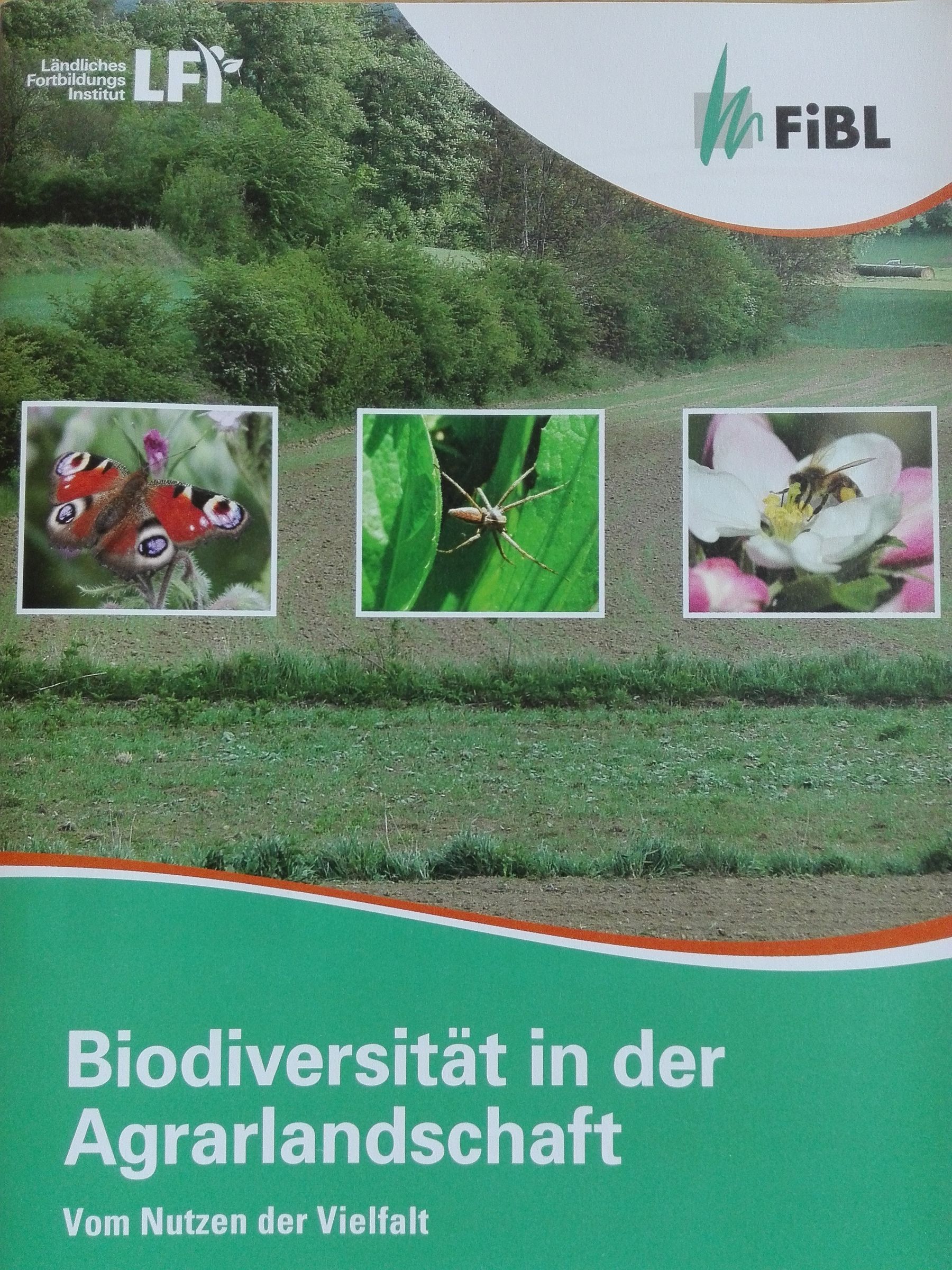 Biodiveristät in der Argralandschaft.jpg