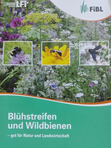 Blühstreifen und wildbienen.jpg Blühstreifen und wildbienen.jpg