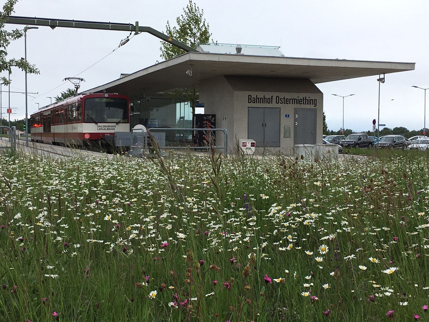 Marktgemeinde Ostermiething.jpg Marktgemeinde Ostermiething.jpg