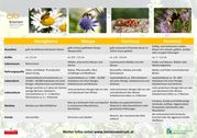 Poster Steckbrief .jpg Poster Steckbrief .jpg